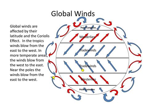 Global Wind Patterns 的图像结果