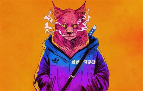 Wallpaper Smoke, Cat, Style, Sword, Face, Adidas, Fantasy, Jacket for ...