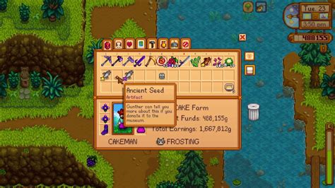 How to get Ancient Seed artifact in Stardew Valley - YouTube