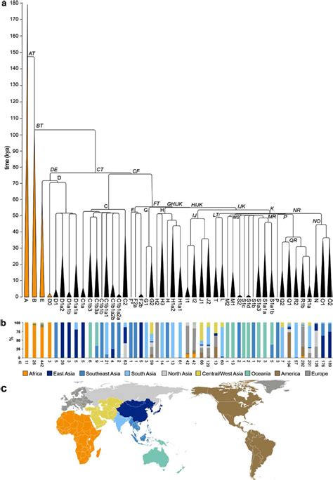 Human Y-chromosome DNA haplogroup - Reference.org