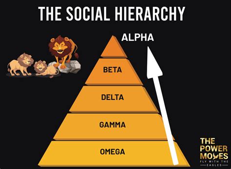 Social Hierarchy Definition