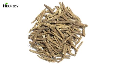 क्या अतीस स्वास्थ्य के लिए फायदेमंद है? जानिए फायदे और नुकसान