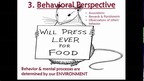 Image result for Behavioral Perspective Examples