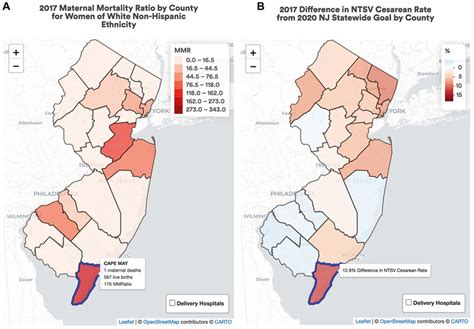 Maternal Mortality Ratio 的图像结果