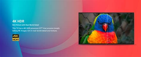 Sony Bravia 108 cm (43 inches) 4K Ultra HD Smart LED Google TV KD ...