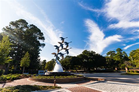 Swan Lake Iris Gardens, Sumter, SC — The Fountain Division