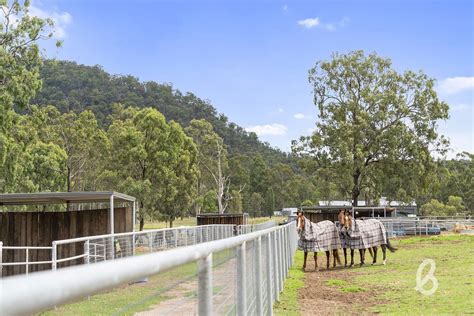 2240 Putty Road, Bulga NSW 2330 - House for Sale | Domain
