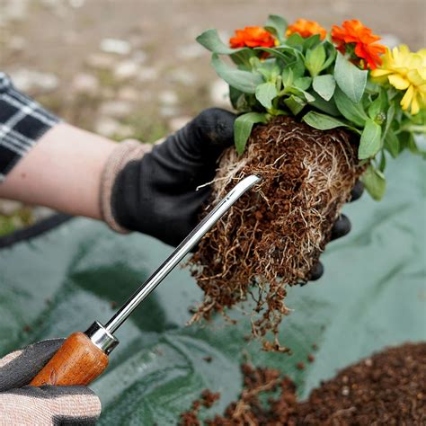 Buy Root Hook Japanese Garden Tool for Loosing Soil, Heavy Duty ...