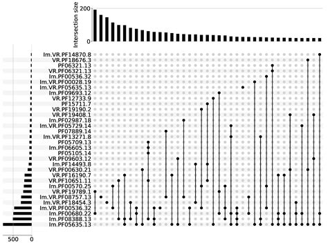Diversity-Generating Retroelements in Prokaryotic Immunity