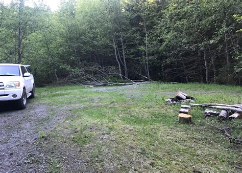 Mount St. Helens Dispersed Camping Camping | The Dyrt