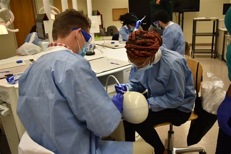 UT Memphis Dental School Requirements – College Learners