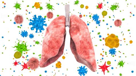 Image result for Viruses Explained