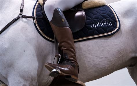 English Stirrups: A Complete Guide And 7 Best Picks Of 2025