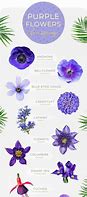 Image result for Small Dark Purple Flowers