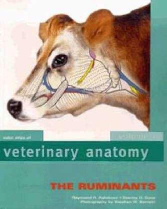 Color Atlas Of Veterinary Anatomy: Ruminants v. 1: Buy Color Atlas Of ...