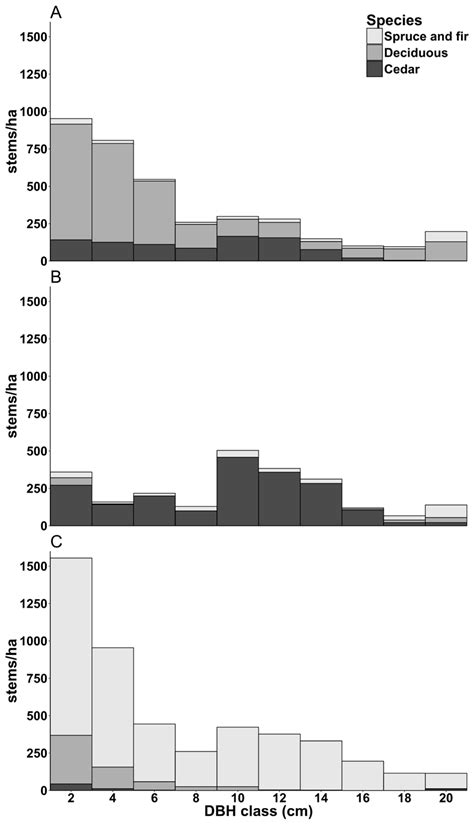 Development of Northern White-Cedar (Thuja occidentalis L.) Plantations ...