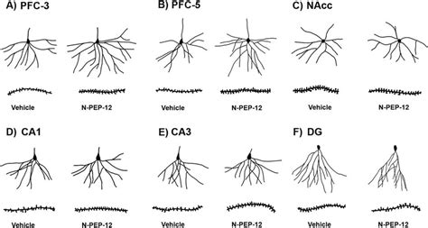Dendritic Pattern 的图像结果