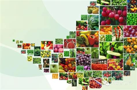 河北省评选出140个特色农产品优势区名单_腾讯新闻