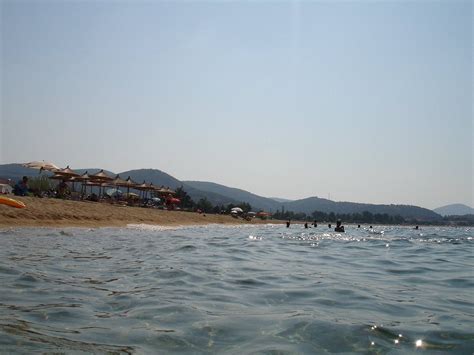 FLORA (Toroni) - Inn Reviews, Photos, Rate Comparison - Tripadvisor