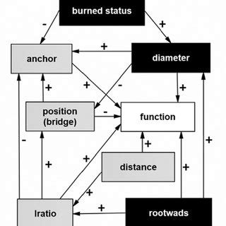 Image result for Bayesian Structural Equation Model