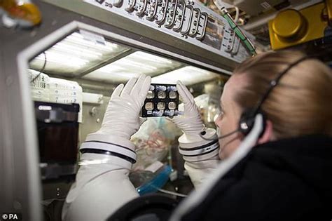宇航员心脏细胞在太空发生改变 回地面10天恢复正常|宇航员|国际空间站|心脏细胞_新浪科技_新浪网