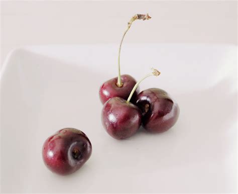 Image result for Polychromos Art Tutorials