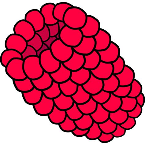 Image result for Raspberry Drawing Vector