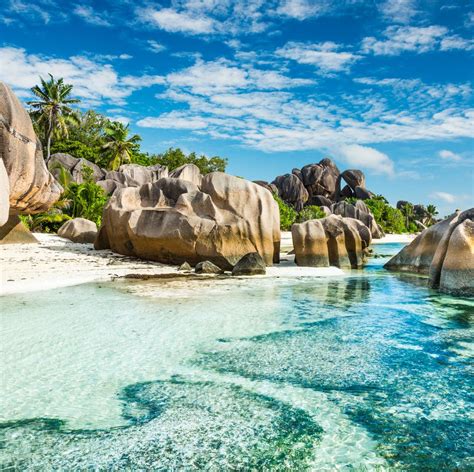 Beautiful Country 的图像结果