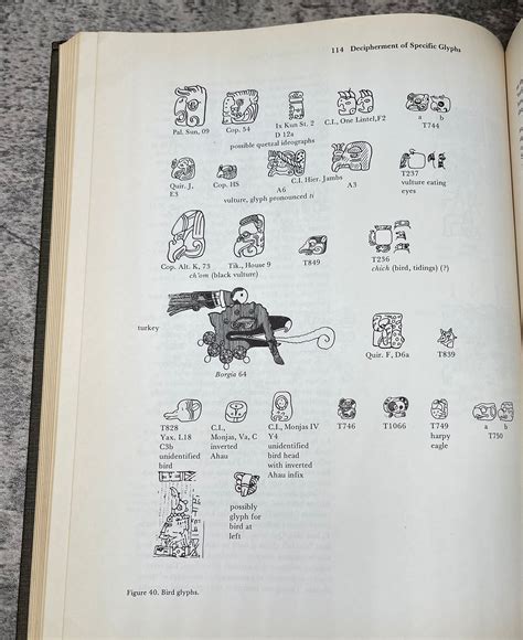 Deciphering Maya Script / 1982 – Precious Cache