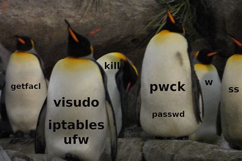 Image result for Linux Security Commands