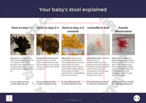 Your baby's stool - handout - Tina Gibbs - Perinatal education