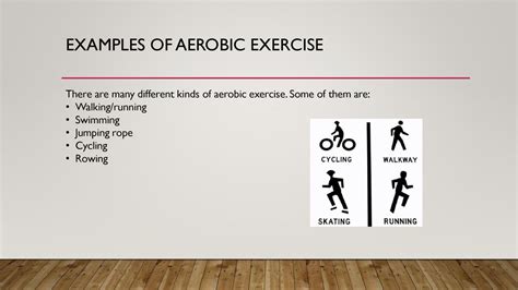 10 Examples of Exercise 的图像结果