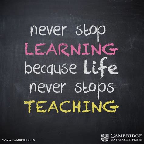 10 frases sobre educación en inglés | Cambridge Blog