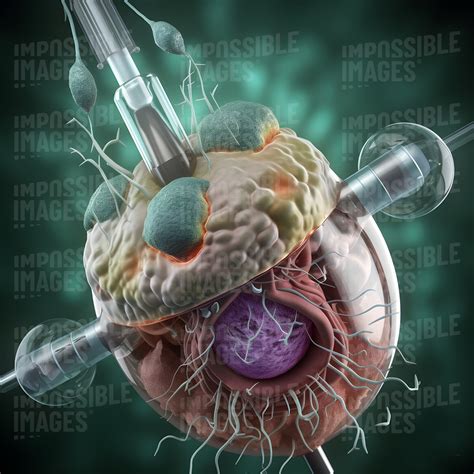 Macro medical concept - Impossible Images - Unique stock images for ...