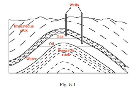 Image result for Class 8 Science Chapter 5