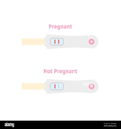 Pregnancy test pack hi-res stock photography and images - Alamy