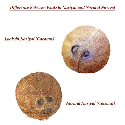 Ekakshi Nariyal (Coconut) buy online from India