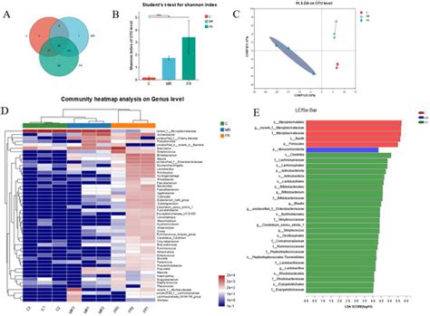 Microbiome–Metabolomic Analysis Reveals Beneficial Effects of Dietary ...