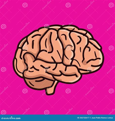 Cartoon Illustration of Human Brain Stock Illustration - Illustration of science, psychology ...