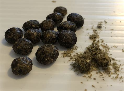 Rabbit Evolution Coin Poop 的图像结果