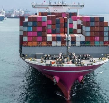 NAUKA GLOBAL |services