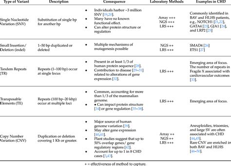 Image result for Type 1 Variation