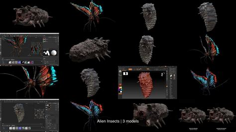 Image result for Alien Bug Model 3D