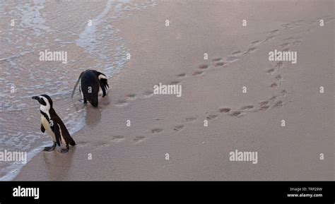 Image result for Handwritten Image to Text Python