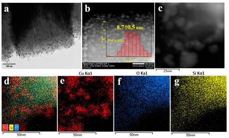 Catalytic Hydrogenation of γ-Butyrolactone to Butanediol over a High ...