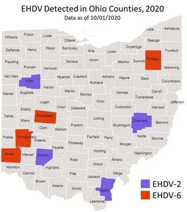 Ohio ADDL October 2020 Newsletter