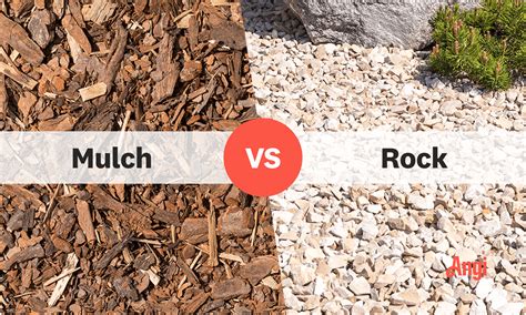 Mulch vs. Rock: Which One Is Right for Your Landscaping? | Angi