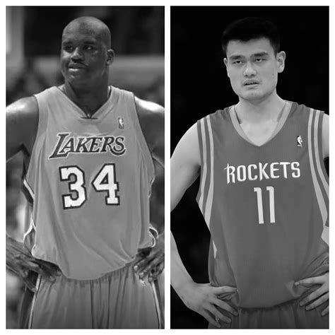 Shaquille O'Neal vs Yao Ming Stats Comparison | Career All Time Stats