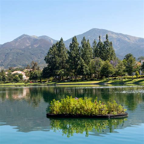 Floating 的图像结果