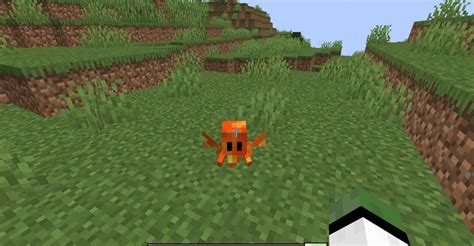 Image result for How to Create NPC in Minecraft Java